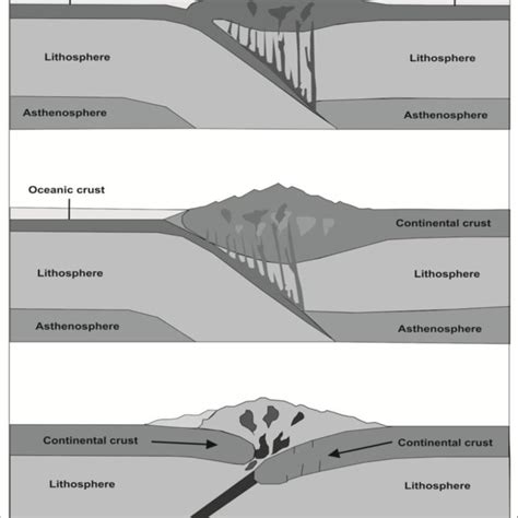 The fossils of Mesosaurus found in South America and Africa. | Download ...