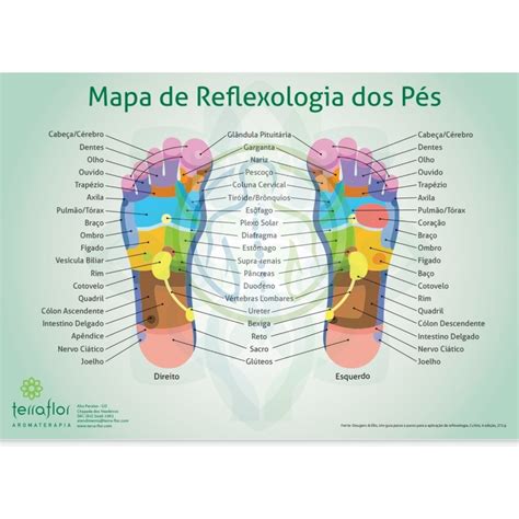 O Que Tem Na Ficha De Anamnese De Um Especialista Em Reflexologia Podal