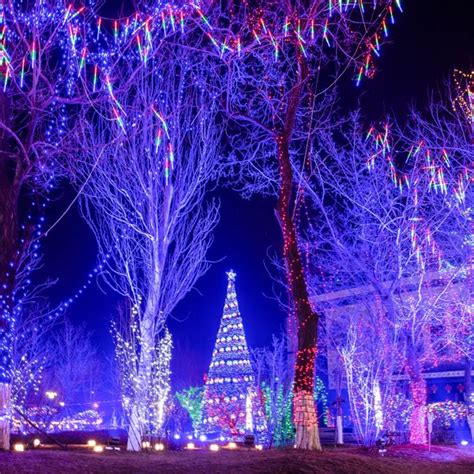 Grotto Festival of Lights - a guide to a light visual journey.