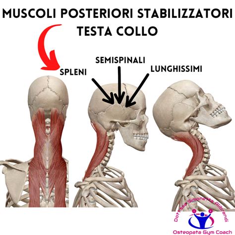 Vertigini E Sbandamenti Colpa Della Cervicale Alta Ecco Gli Esercizi