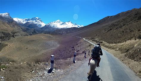 All you need to know about Horse riding in Mustang | Interesting things ...