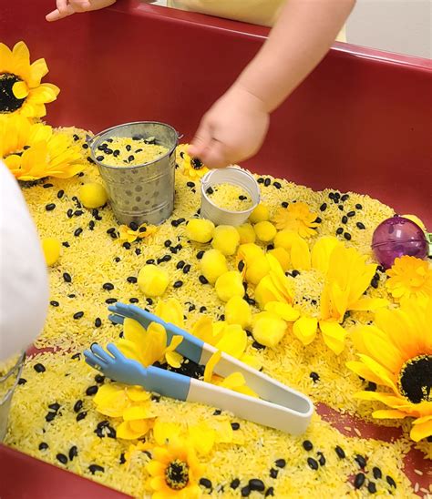 Sensory Bins. TeachersMag.com