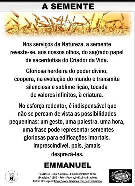 Emmanuel Livro Pão Nosso Chico Xavier Cap 7 A semente Livro