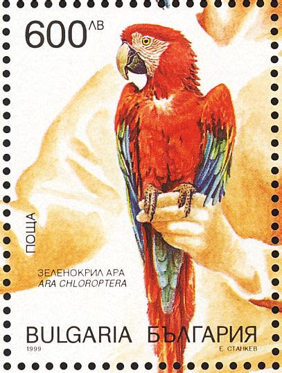 Theme Birds on Stamps | Stamp, Commemorative stamps, Bird