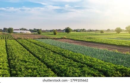 farmland landscape  images pictures shutterstock