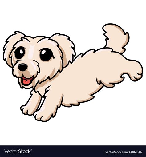 Cute maltese puppy dog cartoon Royalty Free Vector Image