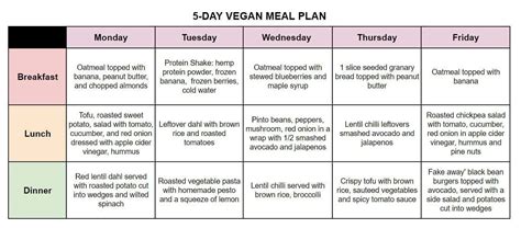 15 Simple Plant Based Diet Meal Plan For Beginners Best Product Reviews