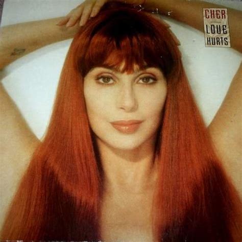 cher love hurts CD Covers