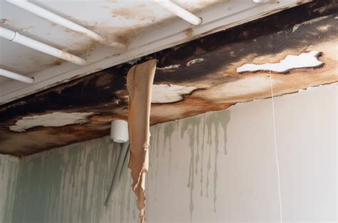 Water Damaged Drywall: To Repair or To Replace? - Seattle Drywall