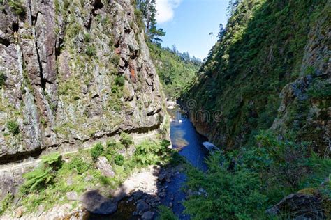 Karangahake Gorge In The Waikato Region Of New Zealand Stock Photo