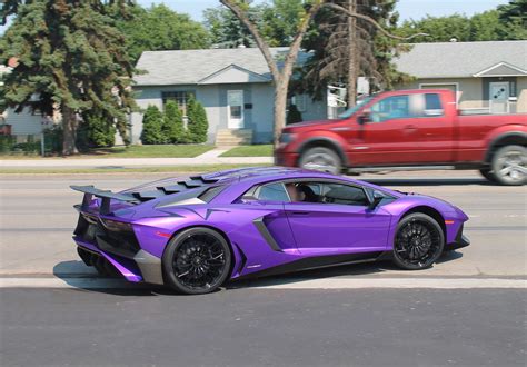 Purple Lamborghini