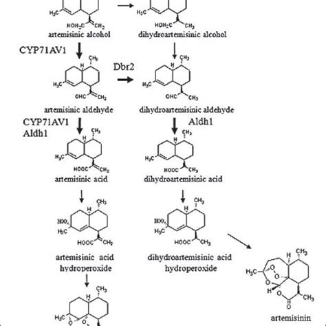 Pdf Artemisinin Biosynthesis And Its Regulatory Enzymes Progress And