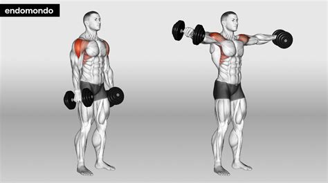 7 Best Back & Shoulder Workout With Dumbbells