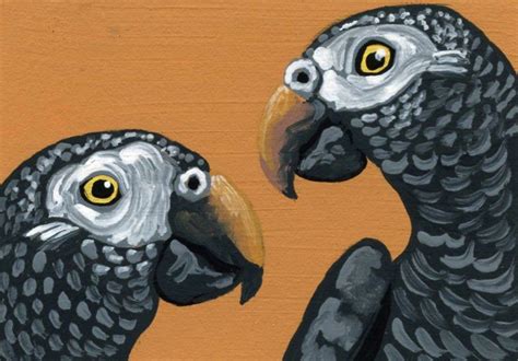 ACEO ATC Original Miniature Painting African Grey Parrot Pet Bird Art