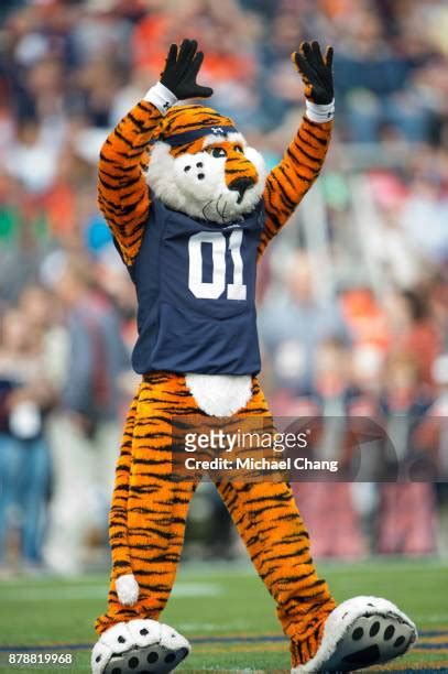 Aubie Mascot Photos and Premium High Res Pictures - Getty Images