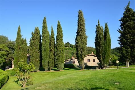 Tuscany Vacation Rentals & Homes - Italy | Airbnb