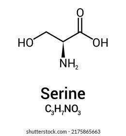 Serine Structure