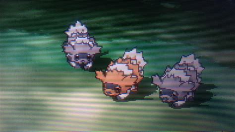 [6] Shiny zigzagoon in oras while hunting for shroomish : ShinyPokemon