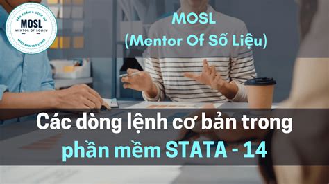 Hướng Dẫn Sử Dụng Phần Mềm Stata (P2) | Lệnh Trong Stata