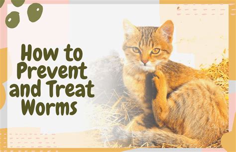 how to treat cat worms at home