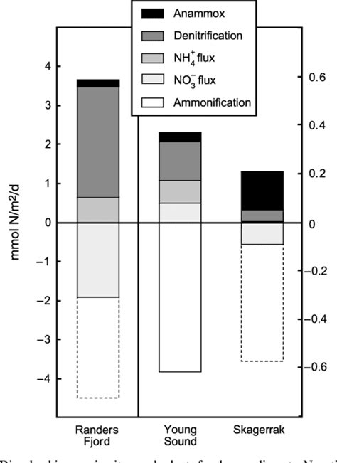 Nitrogen Cycling In Sediments Semantic Scholar