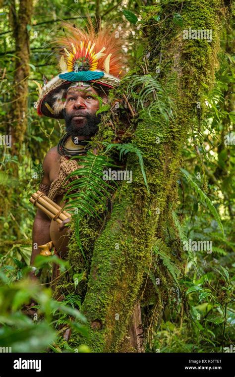 Papua New Guinea, Hela province, Ambua region, Huli tribe, chief ...