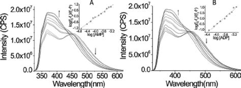 Fluorescence Spectra Of L 1 Zn 215 ϫ 10 5 M In An Aq Hepes