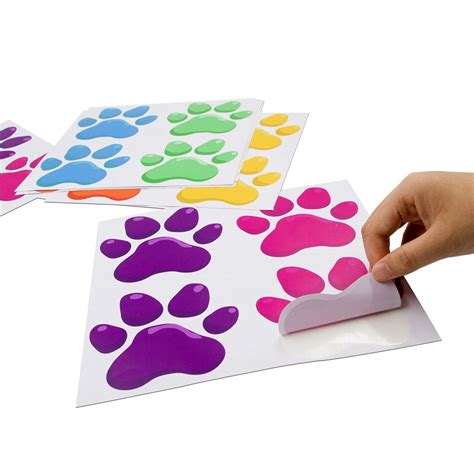 Ceiba Tree Paw Prints Floor Decals Stickers Classroom Line Up Floor