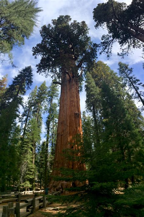 Sequoia National Park – Tales of a vanlife couple