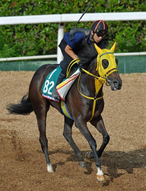 【pog】良血馬アレッサ、初戦からエンジン全開 河村助手「優等生タイプ」競馬・レースデイリースポーツ Online