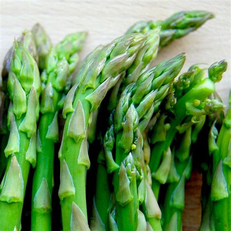 Asparagus Crowns Millennium