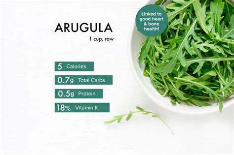 Arugula Nutrition Benefits Calories Warnings And Recipes Livestrong