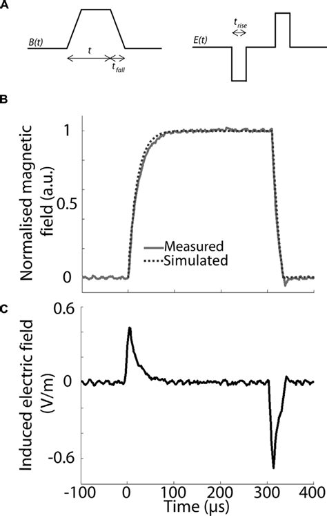 Pulse waveform and parameters. (A) Schematic representation of the ...