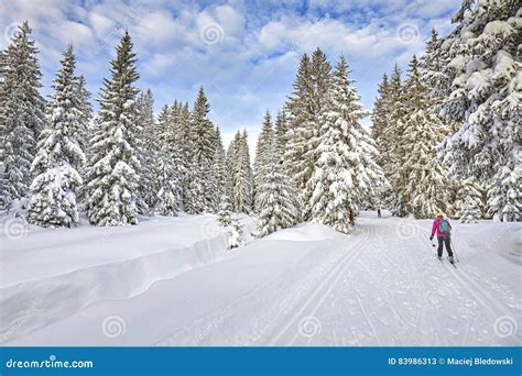 Winter Landscape With Cross Country Skiing Tracks And Skier Stock