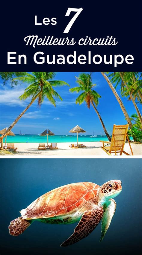 Les Meilleurs Circuits En Guadeloupe Notre S Lection Voyage Tips