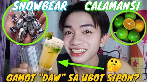 Snowbear At Calamansi Gamot Daw Sa Ubo At Sipon😲 Snowmansi 2 3