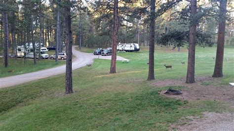 Custer State Park Campgrounds Rooms: Pictures & Reviews - Tripadvisor