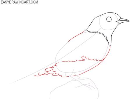 How to Draw a Blue Bird - Easy Drawing Art