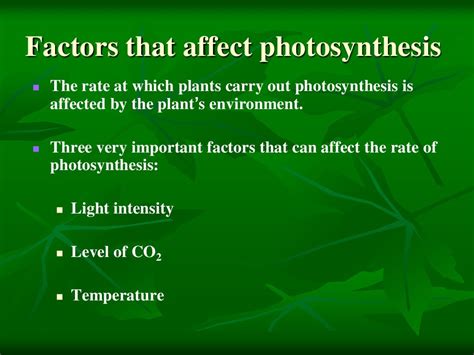 Factors Affecting Photosynthesis