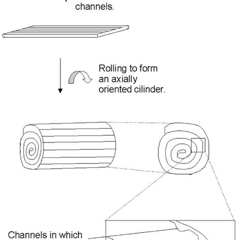 Scheme of the preparation procedure of the implant. | Download ...