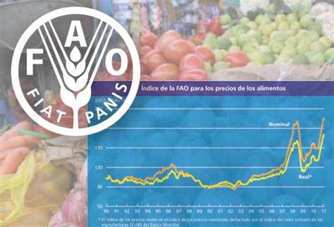 Precio De Los Alimentos Sube En Enero Seg N El Ndice De La Fao