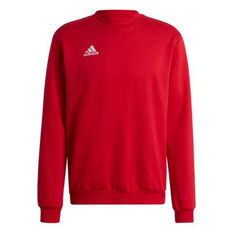 Adidas Entrada Sweatshirt Herren H Sport Kanze De