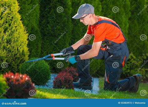 Professional Gardener At Work Stock Photo Image Of Shrub Equipment