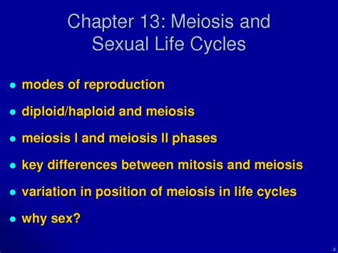 Solution Meiosis Sexual Life Cycle Studypool