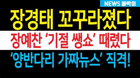 윤석열 막내 가 이재명 막내 때려 잡았다 장예찬 한방에 장경태 와르르 양반다리 가짜뉴스 하루만에 진압 도대체 어떤