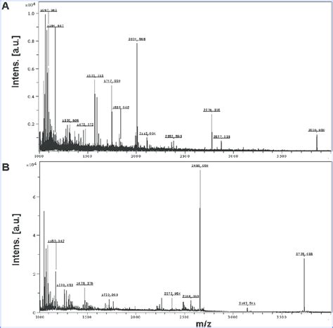 Maldi Tof Mass Spectra Of Spot Numbers 6 And 15 From The 2d Gel Map Of