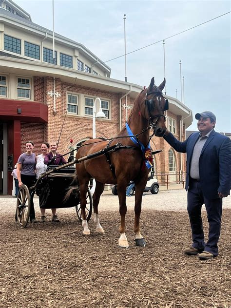 UPHA Chapter V Horse Show... - UPHA Chapter V Horse Show