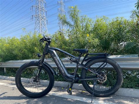 Ebay Electric Bikes Sale Fast Lisa Unibo It