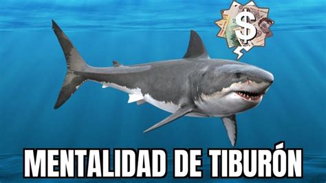 Shark Tank México ¿cuándo Inicia La Temporada 7 Del Programa Glucmx