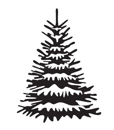 Black Spruce Tree Vector Christmas Ornament And Illustration Icon